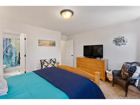 2131 Crop Row Dr, Windsor, CO 80550 photo 12