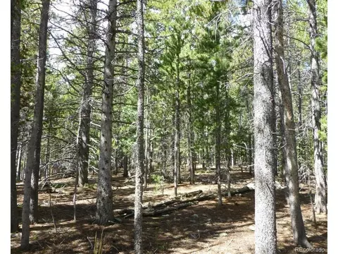 0 Lodgepole Dr, Evergreen, CO 80439 photo 2