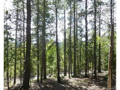 0 Lodgepole Dr, Evergreen, CO 80439 photo 3