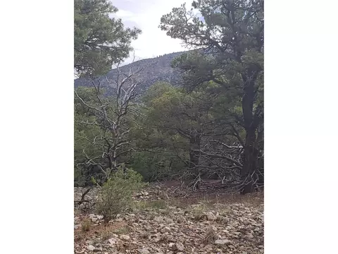 Undisclosed, Mosca, CO 81146 photo 1