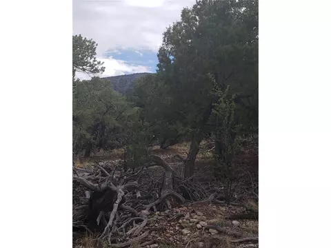Undisclosed, Mosca, CO 81146 photo 6