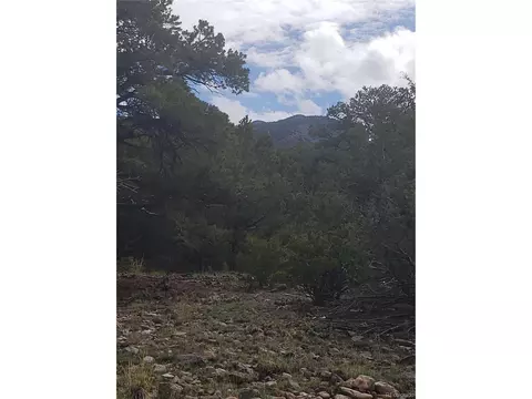 Undisclosed, Mosca, CO 81146 photo 3