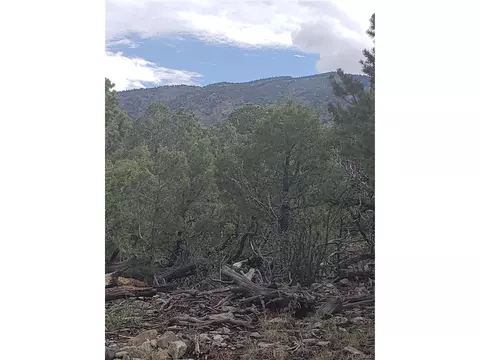 Undisclosed, Mosca, CO 81146 photo 2