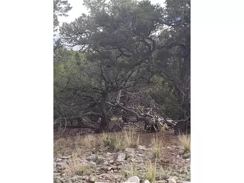 Undisclosed, Mosca, CO 81146 photo 4
