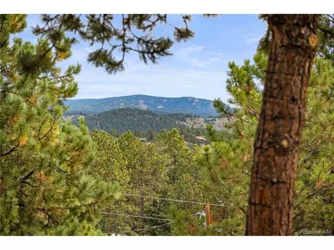 Other - 1053 Yellow Pine Dr, Bailey, CO 80421 photo 2 of 8