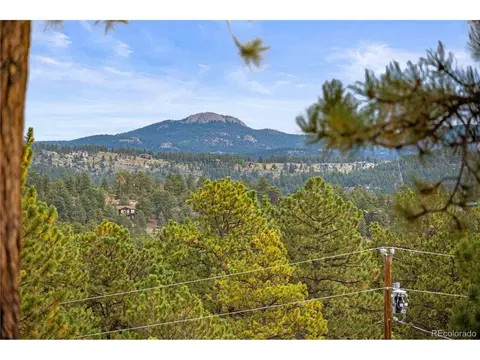 Other - 1053 Yellow Pine Dr, Bailey, CO 80421 photo 3 of 8