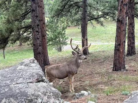 Other - 1053 Yellow Pine Dr, Bailey, CO 80421 photo 4 of 8