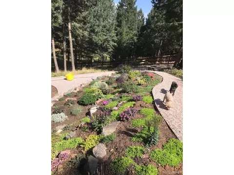 6024 Meadow Dr, Morrison, CO 80465 photo 40