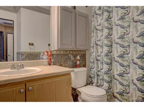 19923 E 49th Ave, Denver, CO 80249 photo 21