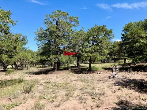 1237 Promontory Overlook, Crestone, CO 81131 photo 6