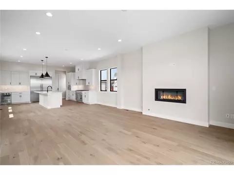 1665 Flourish Dr, Windsor, CO 80550 photo 7