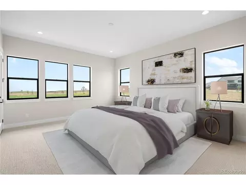 1665 Flourish Dr, Windsor, CO 80550 photo 17