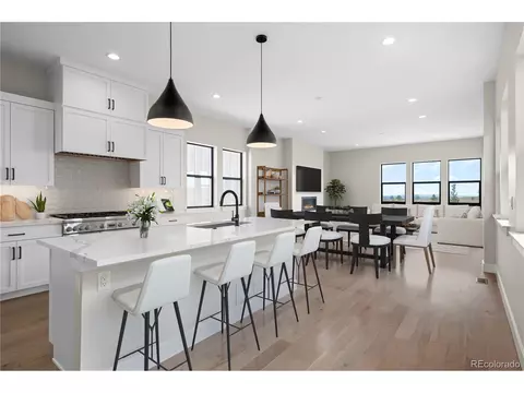 1665 Flourish Dr, Windsor, CO 80550 photo 9