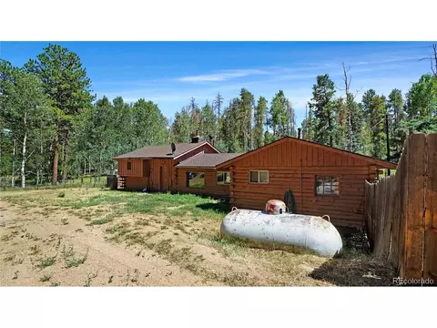 Exterior - 200 Road P37, Bailey, CO 80421 photo 5 of 6