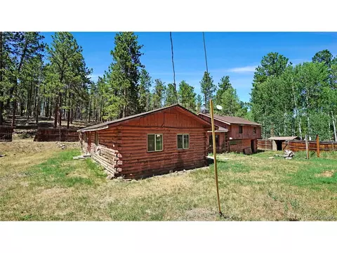 Exterior - 200 Road P37, Bailey, CO 80421 photo 2 of 6