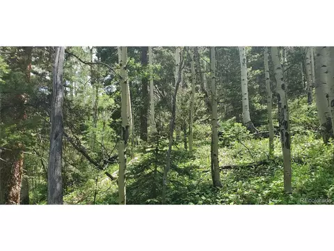 5329 Stock Rd, Fort Garland, CO 81133