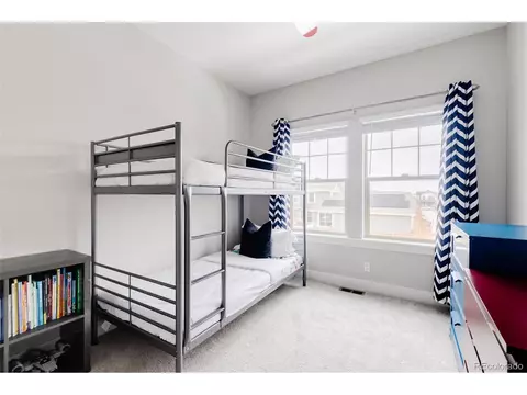 10050 E 59th Dr, Denver, CO 80238 photo 24