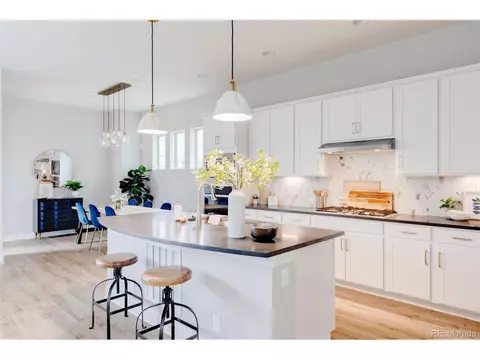 10050 E 59th Dr, Denver, CO 80238 photo 5