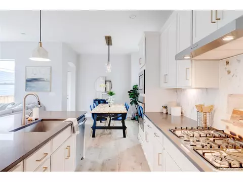 10050 E 59th Dr, Denver, CO 80238 photo 10