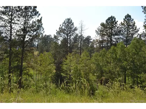 306 Parkview, Bailey, CO 80421 photo 13