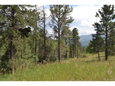 306 Parkview, Bailey, CO 80421 photo 5