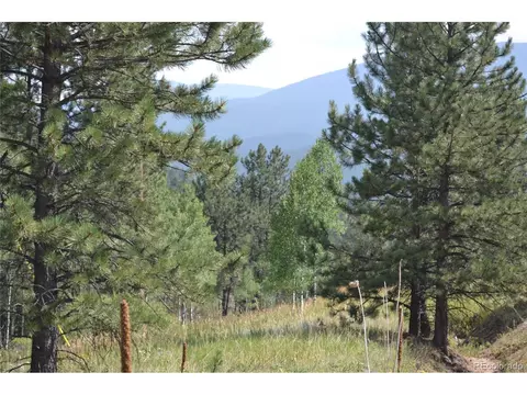 306 Parkview, Bailey, CO 80421 photo 8