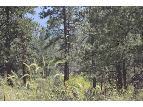 306 Parkview, Bailey, CO 80421 photo 10