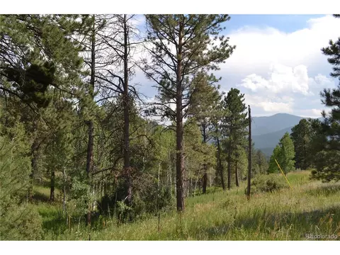 306 Parkview, Bailey, CO 80421 photo 7