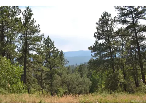 306 Parkview, Bailey, CO 80421 photo 12