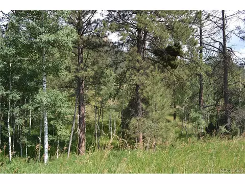 306 Parkview, Bailey, CO 80421 photo 6