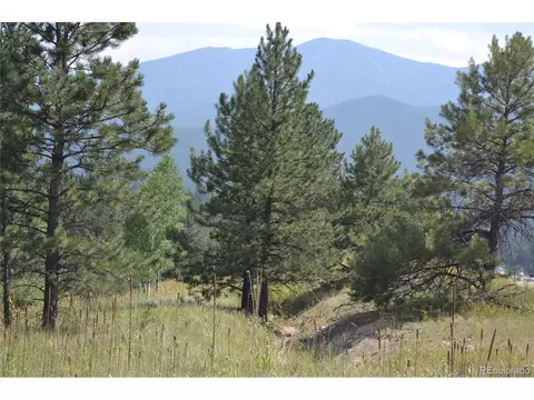 306 Parkview, Bailey, CO 80421 photo 9