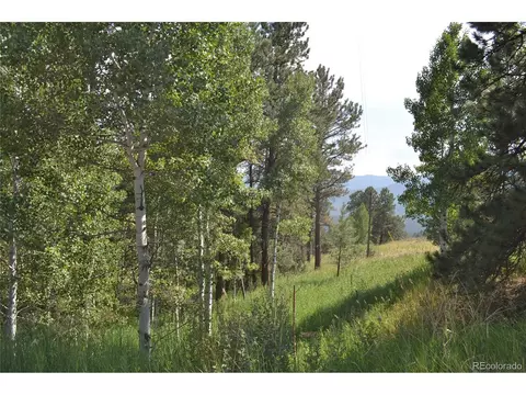 306 Parkview, Bailey, CO 80421 photo 15