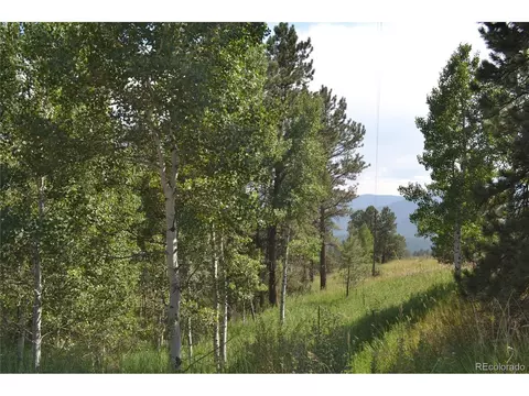 306 Parkview, Bailey, CO 80421 photo 14
