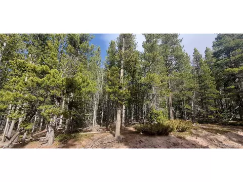 3246 Zipf Ln, Fort Garland, CO 81133