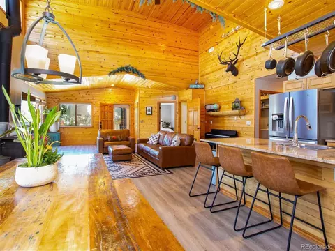 35 Forest Dr, Bailey, CO 80421 photo 8