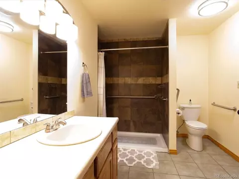 35 Forest Dr, Bailey, CO 80421 photo 19