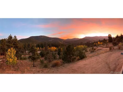 35 Forest Dr, Bailey, CO 80421 photo 28