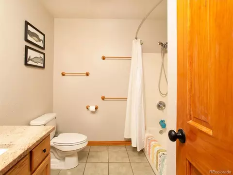 35 Forest Dr, Bailey, CO 80421 photo 12