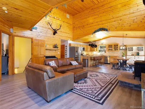 35 Forest Dr, Bailey, CO 80421 photo 4