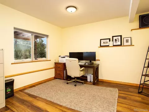 35 Forest Dr, Bailey, CO 80421 photo 14