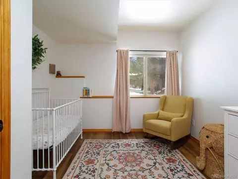 35 Forest Dr, Bailey, CO 80421 photo 20