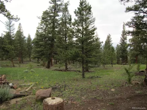 501 Lantern Loop, Hartsel, CO 80449 photo 9