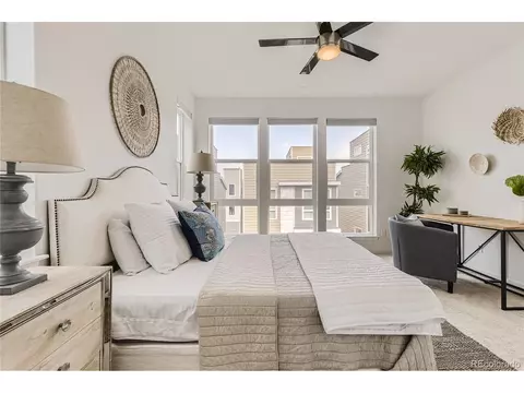 2415 Java Dr, Castle Rock, CO 80109 photo 14