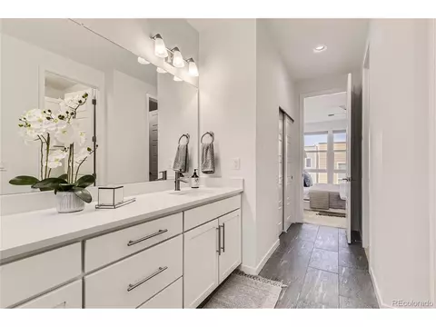 2415 Java Dr, Castle Rock, CO 80109 photo 17