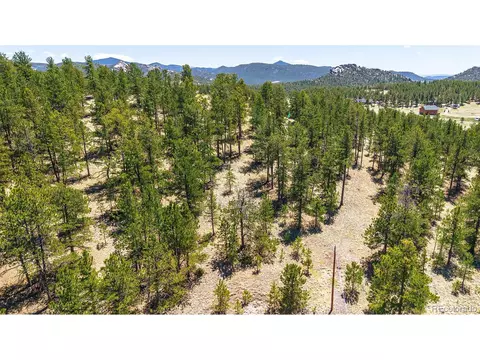 56 Dallas Park Cir, Florissant, CO 80816