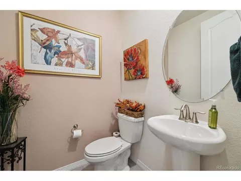 2541 E 163rd Pl, Thornton, CO 80602 photo 25