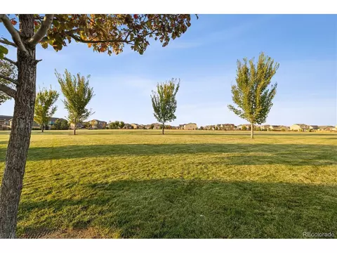 2541 E 163rd Pl, Thornton, CO 80602 photo 34