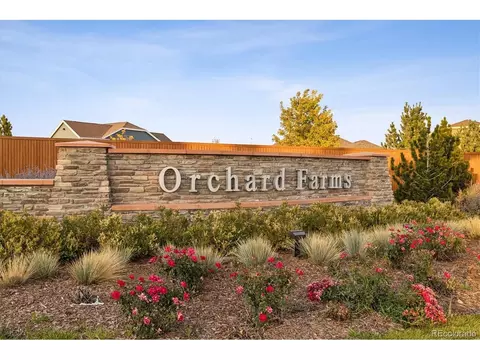 2541 E 163rd Pl, Thornton, CO 80602 photo 30