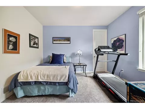2541 E 163rd Pl, Thornton, CO 80602 photo 23