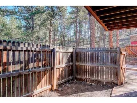 78 Grouse Ln, Bailey, CO 80421 photo 21